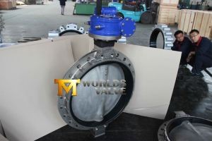 Multi-Standard Stainless Steel Wafer Butterfly Valve Dn700